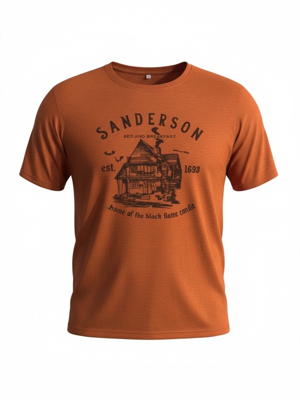 Hocus Pocus Inspired Sanderson abed & Breakfast Graphic Tee Size 2X